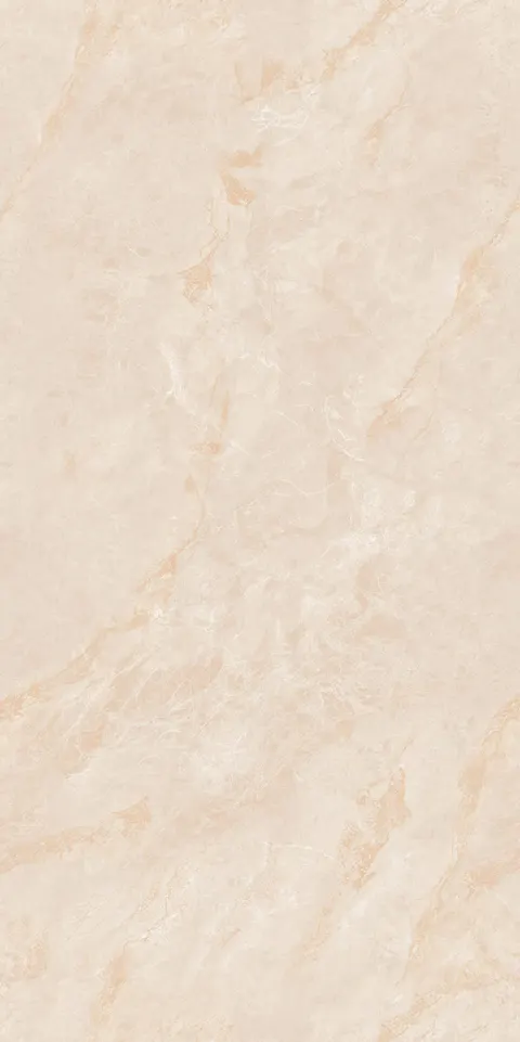 INDO BEIGE SILK view 6